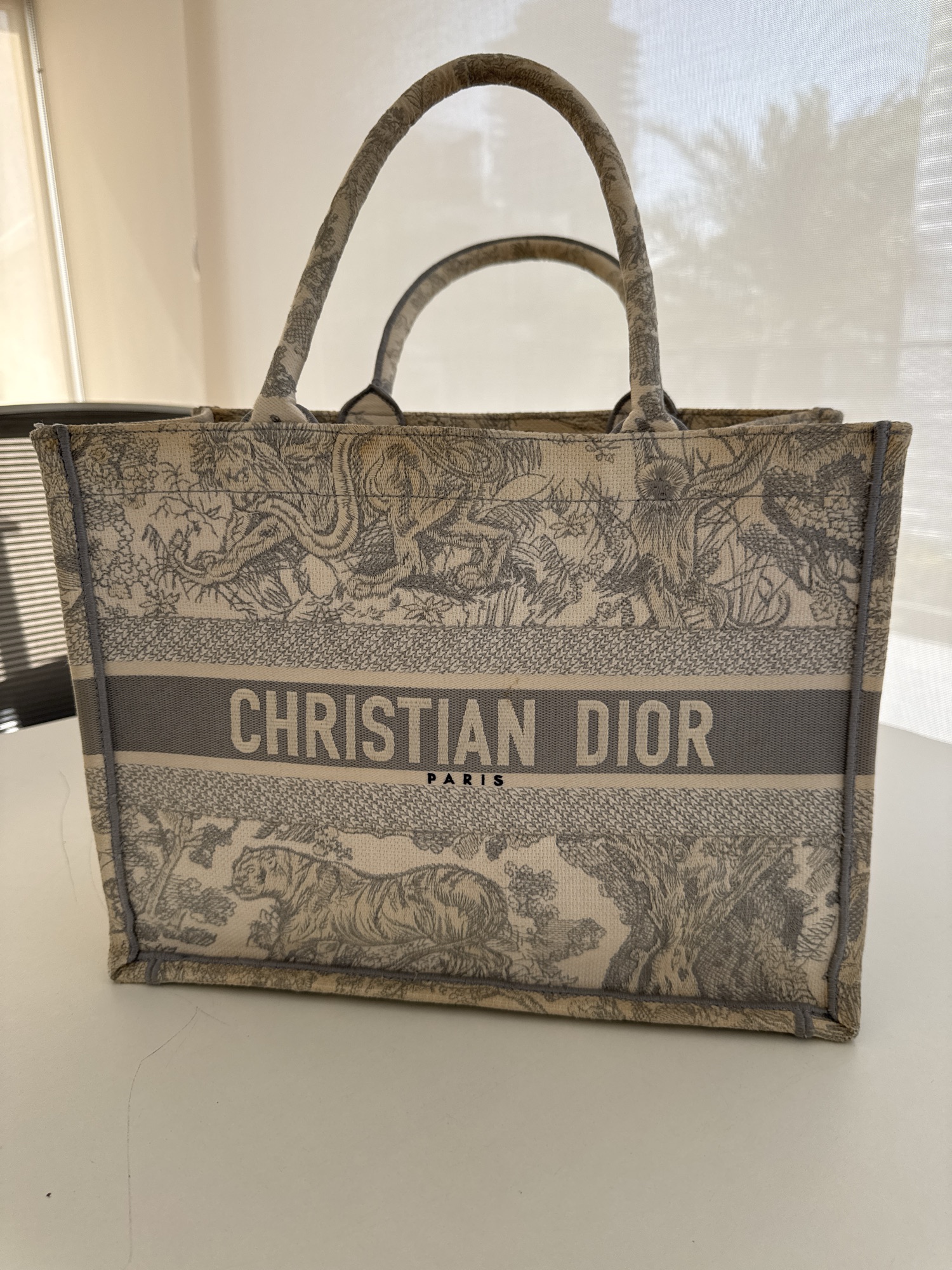 Christian Dior Christian Dior Book Tote Canvas Blue Toile de Jouy
